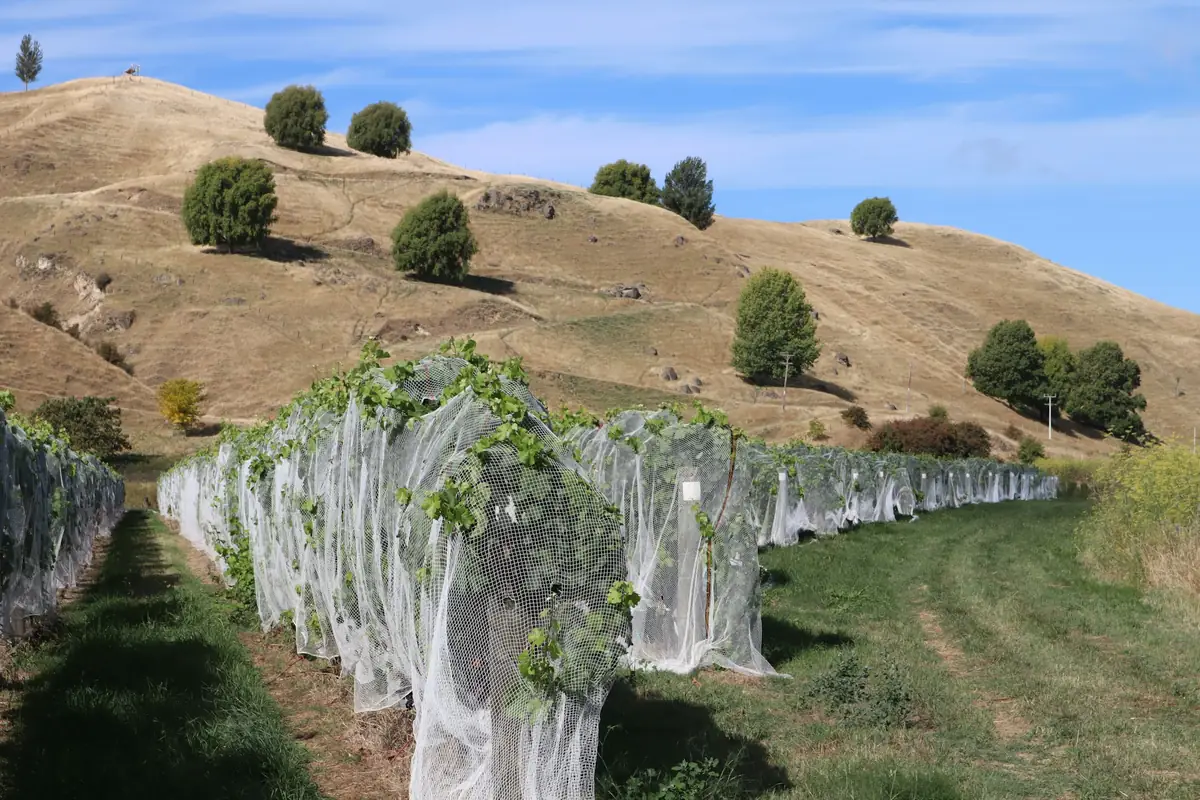 Hawke's Bay & Wairarapa